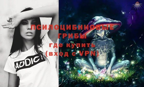 дживик Заводоуковск