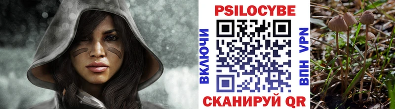 Псилоцибиновые грибы ЛСД  Купить где  Малгобек 